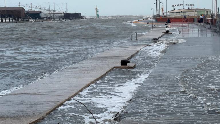 Il porto canale di Cesenatico (Zanotti)