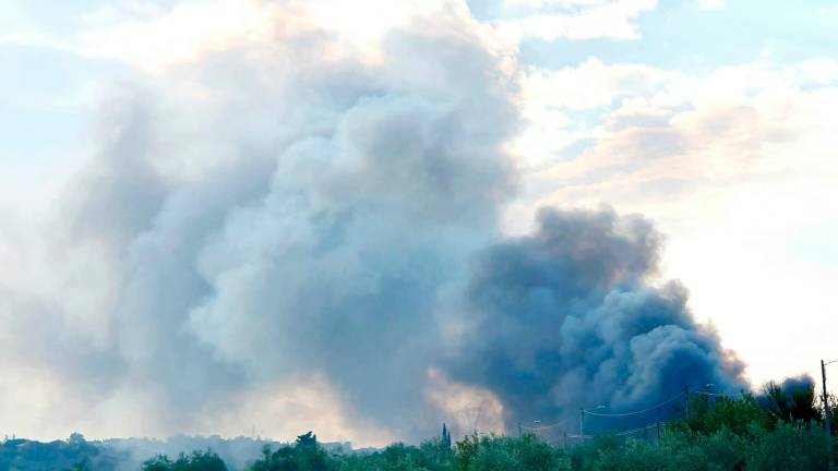 Rimini. Incendio alla Papa Giovanni: a fuoco il laboratorio di falegnameria