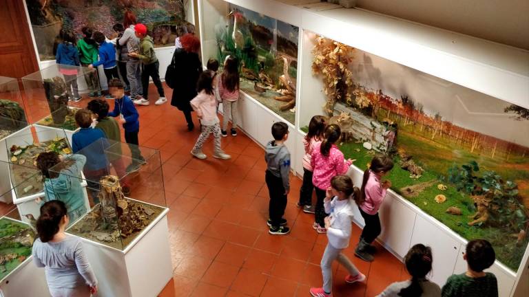 Cesena, museo dell’ecologia: si cerca un nuovo gestore