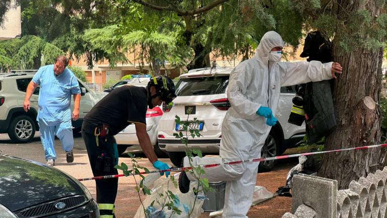 Cesena, gatti abbandonati in abitazione: al vaglio le sanzioni e le denunce da applicare