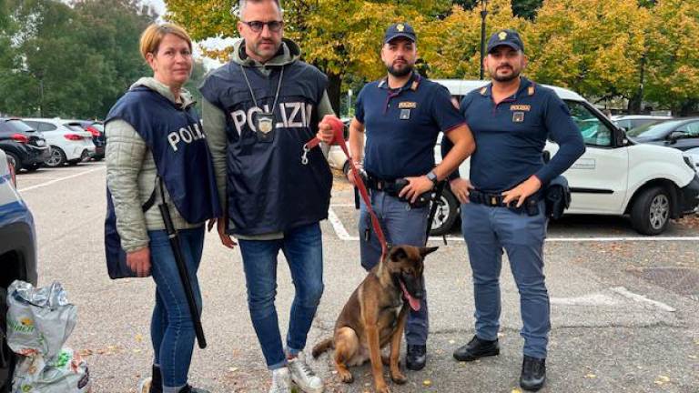 Cuccioli senza cibo e acqua in mezzo a rifiuti ed escrementi, denunciato un 21enne a Bologna