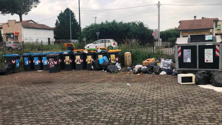 Bagnacavallo, cittadini protestano: “Invasi dai rifiuti, circondati dai topi”