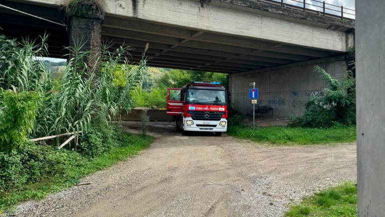 Cesena, muore travolto da un bobcat a Borello - VIDEO GALLERY