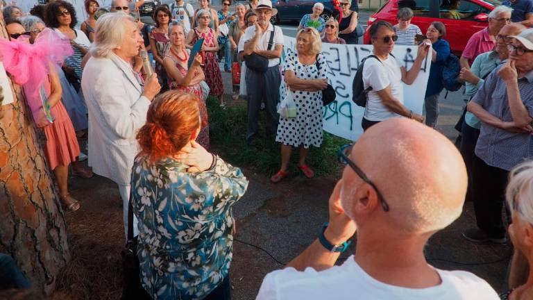 La folla ieri accorsa in difesa dei pini di via Maggiore