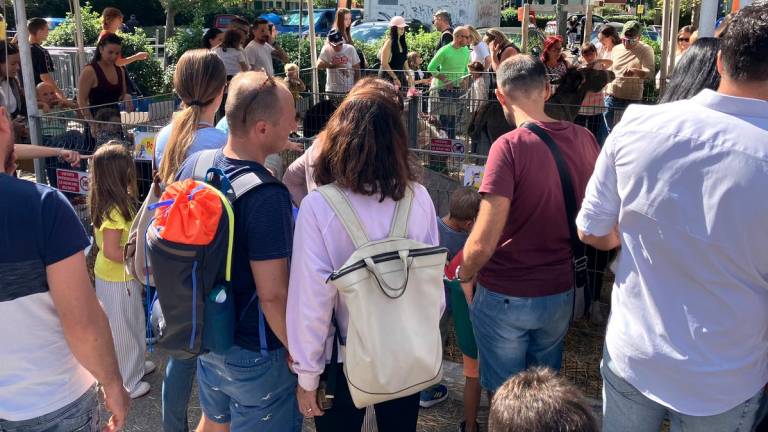 Santarcangelo, la fiera di San Michele è stata un successo - Gallery