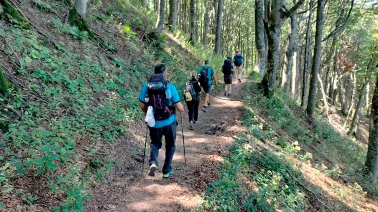 Un tratto del Cammino di San Vicinio