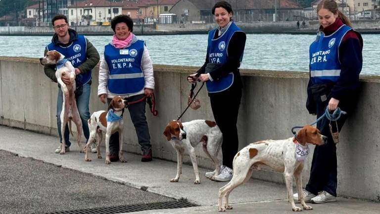 L’iniziativa di domenica scorsa dei volontari Enpa