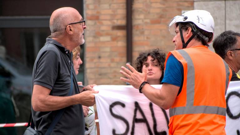 Ravenna, pini in via Maggiore: via all’abbattimento tra le proteste di alcuni cittadini - Gallery