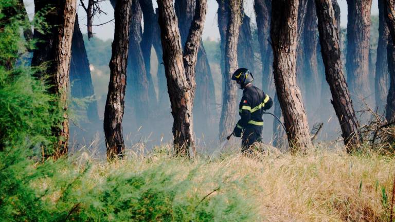 Foto e video Massimo Fiorentini