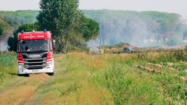 Ravenna, incendio in pineta tra Porto Fuori e Lido Adriano: Vigili del Fuoco in azione e lanci d’acqua dall’elicottero - VIDEO GALLERY