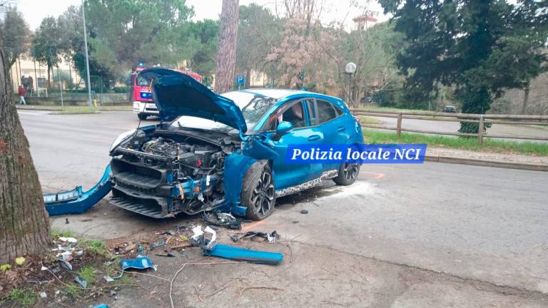 Fontanelice, 77enne si schianta contro un albero. A bordo dell’auto c’è anche il suo cane che viene accudito dalla polizia locale