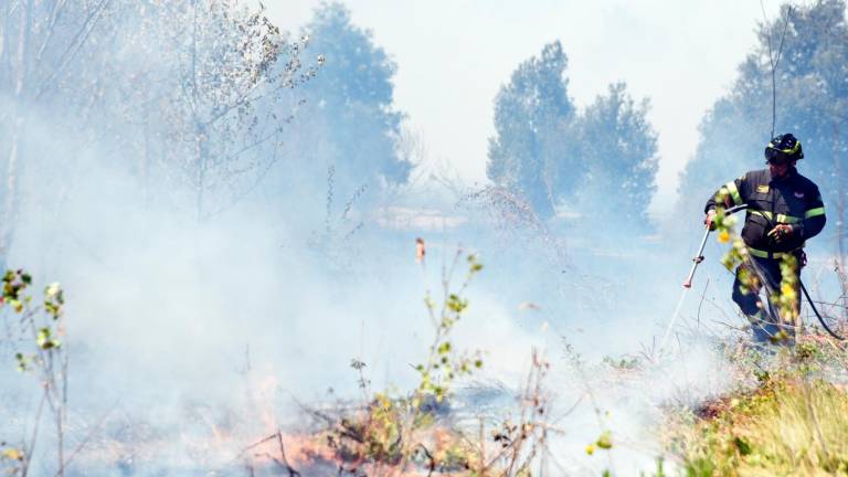 Un incendio a Gatteo, uno nella zona di Forlì-Cesena e uno nel Riminese solo nell’ultima settimana hanno richiesto l’intervento dei Vigili del Fuoco (Foto d’Archivio)