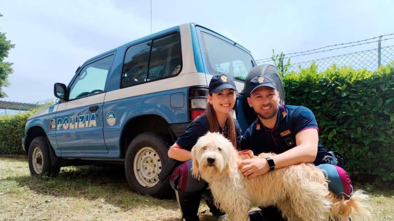 A zonzo sulla E45, cane salvato dalla Polizia Stradale a Bivio Montegelli
