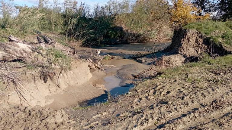 Brisighella, nuove esondazioni del Lamone: “Frutteti e serre sott’acqua”