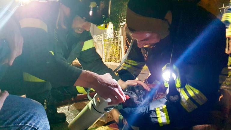 Riccione. Incendio in appartamento, salvata una coppia e il cane - Fotogallery