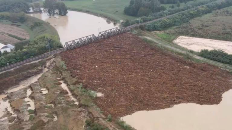 Alluvione in Romagna, “troppa legna tagliata nei fiumi”: l’allarme inascoltato di giugno ora diventa un caso: