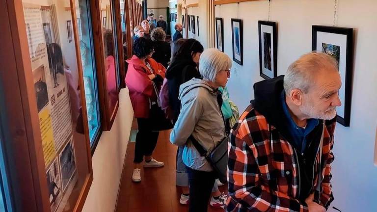 Cesena, il Museo dell’Ecologia gestito da Atlantide