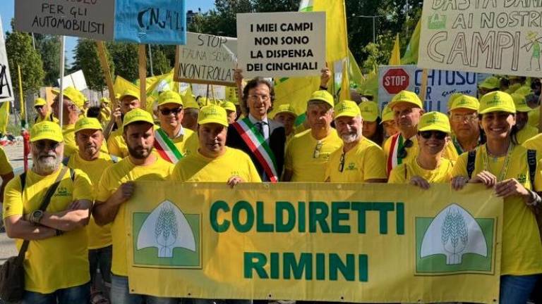 Coriano, problema cinghiali: il sindaco Ugolini a Bologna manifesta con gli agricoltori