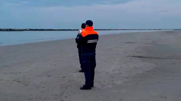 Ricerche sugli scogli e in mare a Cesenatico per un cane che era appena stato adottato da una famiglia della zona FOTOGALLERY