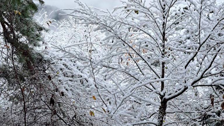 Neve e Appennino romagnolo imbiancato: uno scenario da favola - VIDEO GALLERY