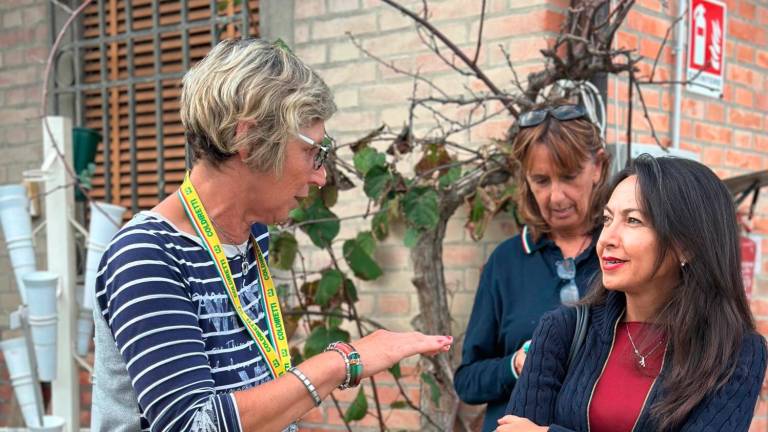 Castrocaro. Le famiglie allagate: «Ormai viviamo nella paura ogni volta che piove»