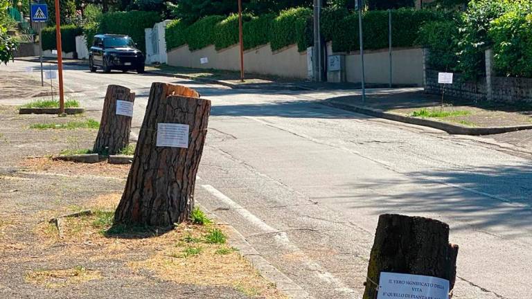 Cesena, lungo la via Mascagni sono comparse 23 poesie per chiedere di piantare nuovi alberi