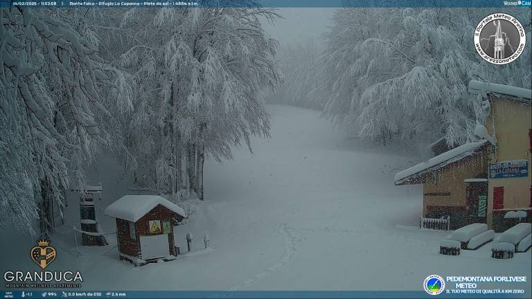 La webcam di Campigna questa mattina poco prima di mezzogiorno