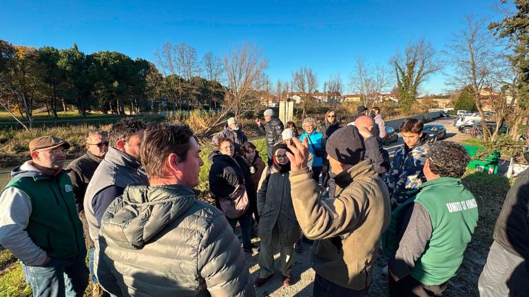 Alluvioni: protesta lungo gli argini del Savio a Cesena contro l’abbattimento degli alberi