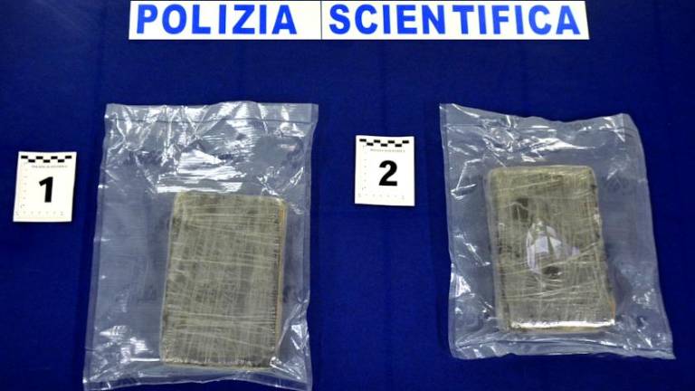 La droga sequestrata