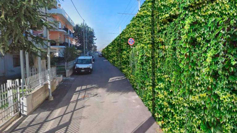 Rimini, muri verdi, spazi green e un futuro con meno asfalto: via all’intervento al Parco Petrucci - Gallery