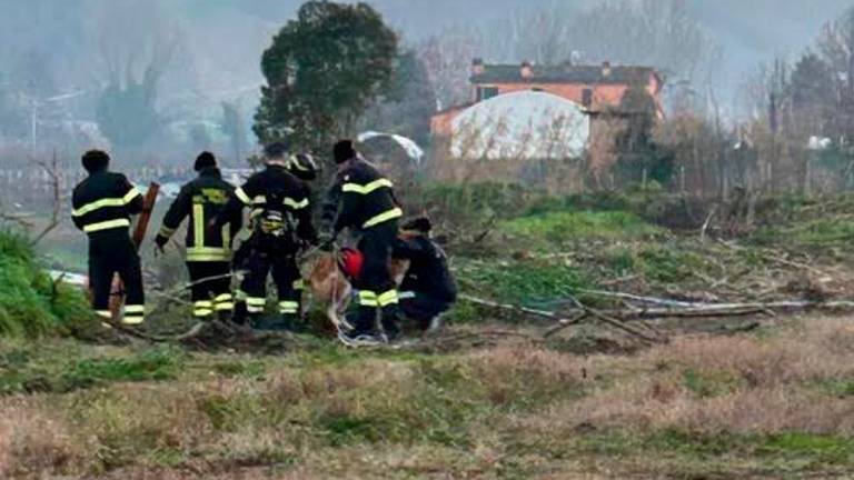 Cesena, frana il ciglio del Savio e cane precipita per 10 metri: tre ore per salvarlo e polemiche per il taglio delle piante