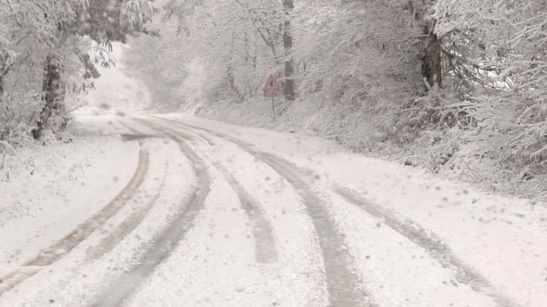 Riecco il fascino della neve sul Monte Fumaiolo VIDEO