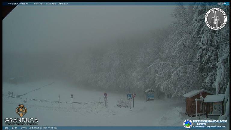 La webcam sullo scenario di questa mattina a Campigna