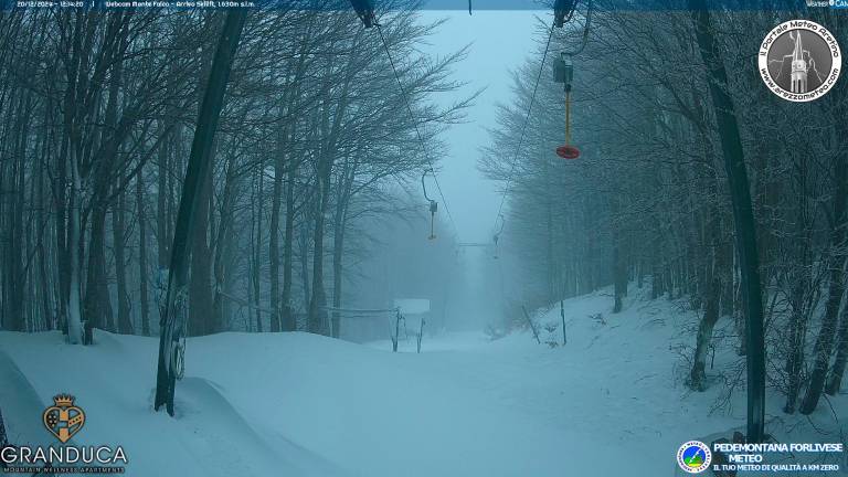 Monte Falco a Campigna questa mattina