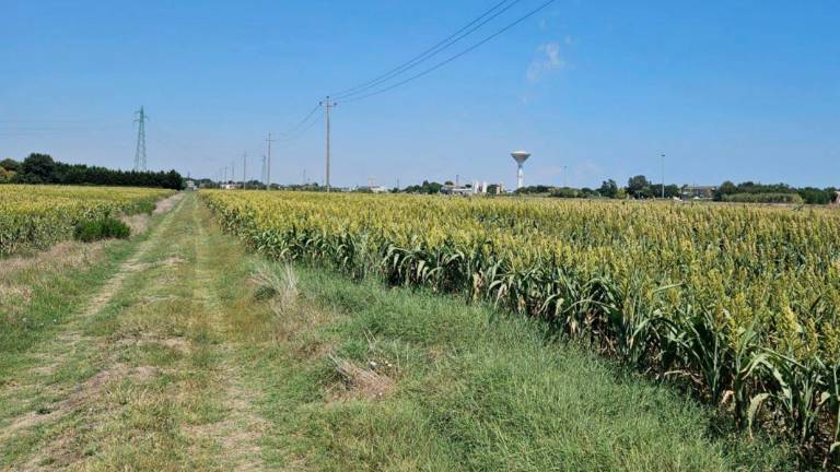 La zona dove è previsto l’impianto agrivoltaico