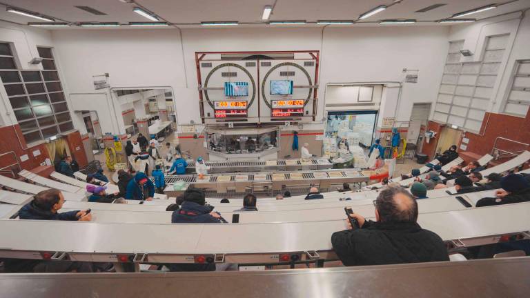 Rimini, dal faro ai cantieri, dal mercato del pesce alle simulazioni: ecco la Giornata del Mare VIDEO GALLERY
