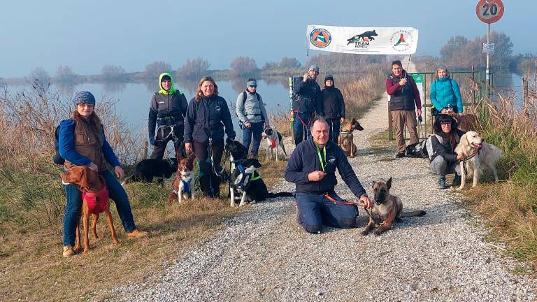 Faenza, la benedizione degli animali arriva in piazza del Popolo