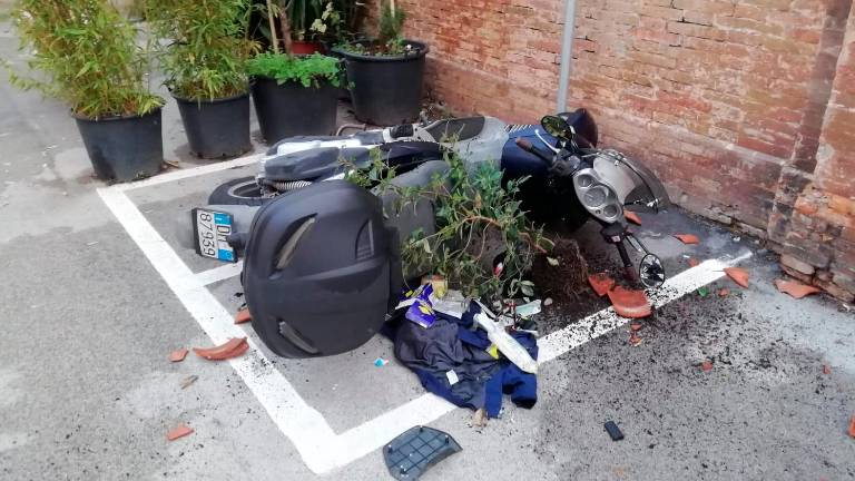 Raid vandalico in centro a Cesena nel cuore della notte: caccia a 3 teppisti FOTOGALLERY