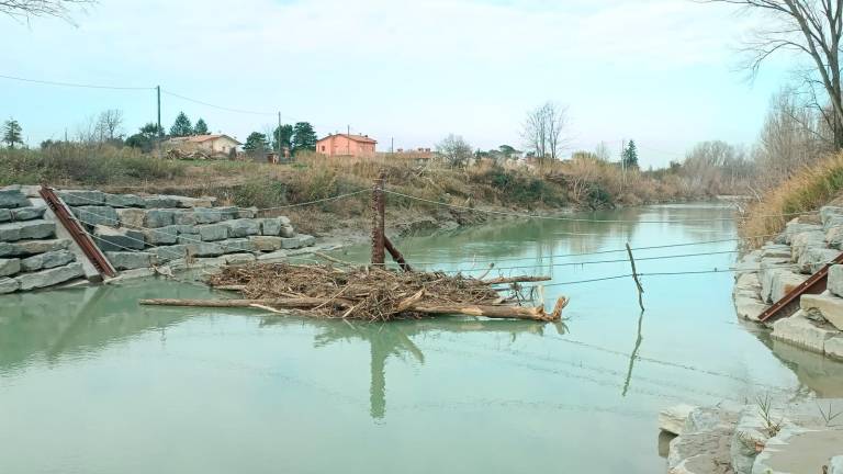 La briglia selettiva a Borgo Paglia