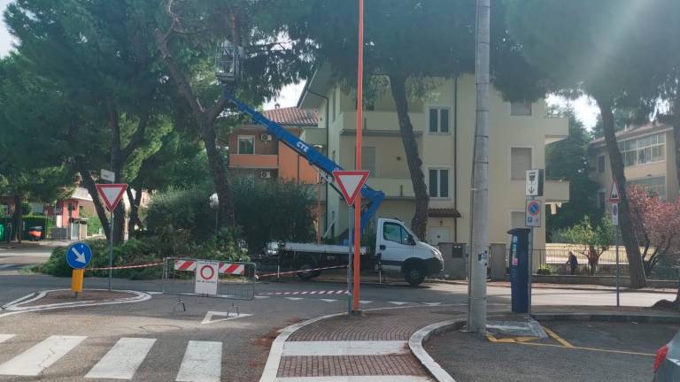 Cesena, ripristino di strade e marciapiedi danneggiate dalle radici degli alberi: ecco le vie interessate