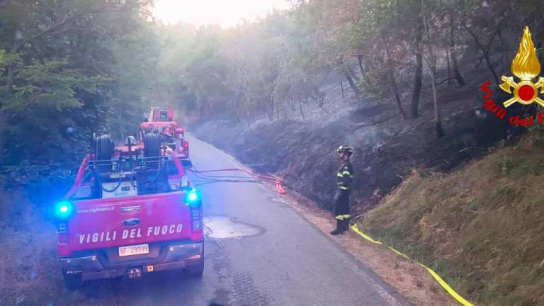 Modigliana, incendio nel bosco: pronto intervento dei Vigili del Fuoco