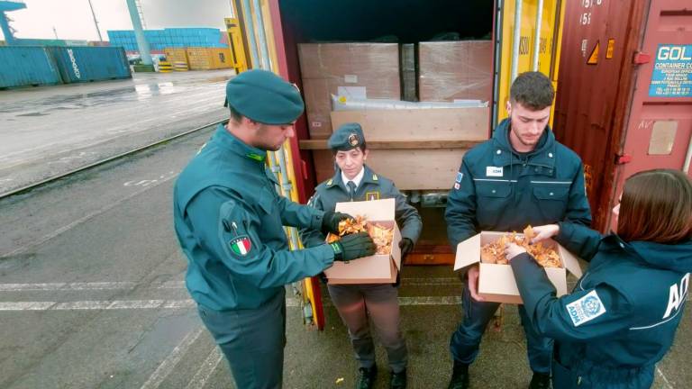 Ravenna, quel tabacco al porto era già “fumabile” e non grezzo: bloccate 21 tonnellate in partenza per il Sud Africa, recuperati oltre 900mila euro di diritti evasi