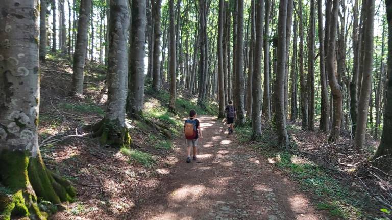 Nel santuario della natura